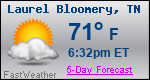 Weather Forecast for Laurel Bloomery, TN