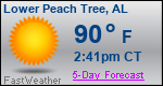 Weather Forecast for Lower Peach Tree, AL