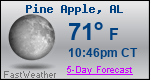Weather Forecast for Pine Apple, AL