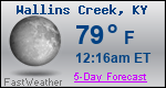 Weather Forecast for Wallins Creek, KY