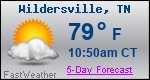 Weather Forecast for Wildersville, TN